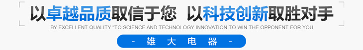 雄大開關(guān)