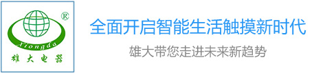 雄大開關